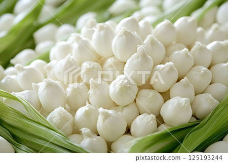 White baby corn cob displayed on green leaves 125193244