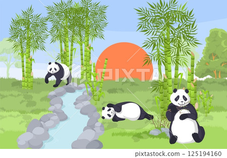 Panda bears are seen relaxing and playing in a lush bamboo forest during the evening. A picturesque sunset adds a warm glow to the serene landscape, enhancing the natural beauty 125194160