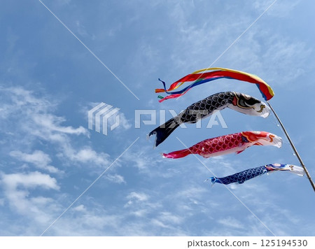 鯉魚旗在晴朗的天空中飄揚 125194530
