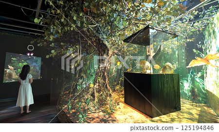 A woman is looking at a tree in a museum 125194846