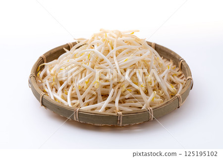 白色背景中濾鍋裡的豆芽 125195102