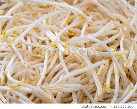 看起來很美味的豆芽 125195103