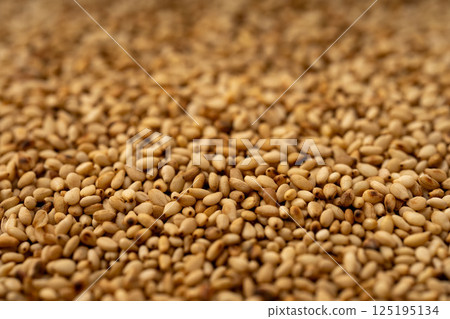 Lots of fragrant roasted sesame seeds 125195134