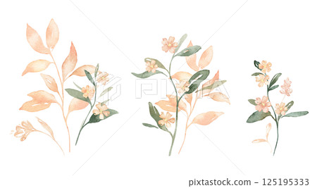 Watercolor set of pink flowers spots and leaves. Hand drawn illustration buds on isolated white background. Soft pastel iridescent watercolors. Watercolor set of pink flowers spots and leaves. Hand drawn illustration buds on isolated white background. Soft pastel iridescent watercolors. 125195333