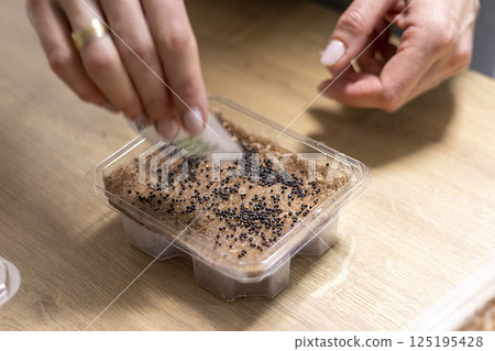 Person plants seeds of micro greens to the jute mat. 125195428