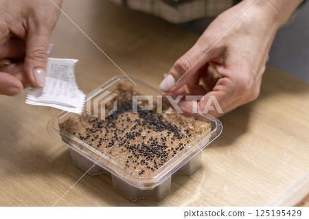 Person plants seeds of micro greens to the jute mat. 125195429