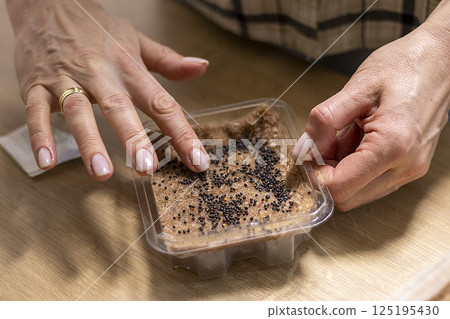 Person plants seeds of micro greens to the jute mat. 125195430