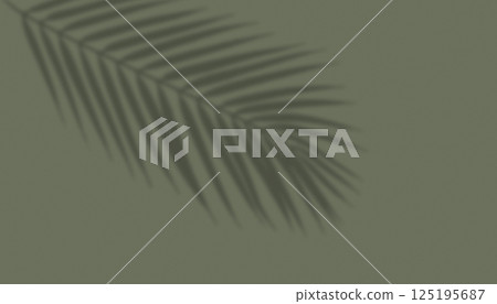 shadow from plant branches on green background 125195687