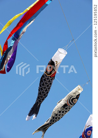一條鯉魚旗在湛藍的天空和風中搖曳 125195852