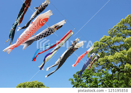 A carp streamer swaying in the clear blue sky and wind 125195858