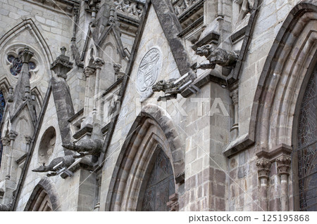 Animal gargoyles at the Basilica del Voto Nacional, Quito, Ecuador 125195868