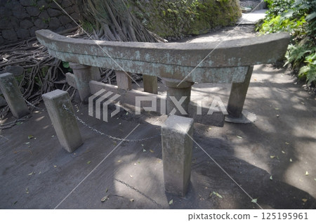 櫻島火山爆發後,鳥居門被火山灰掩埋 櫻島火山爆發後,鳥居門被火山灰掩埋 125195961