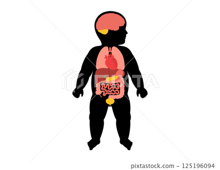 Internal organs of the child Internal organs of the child 125196094