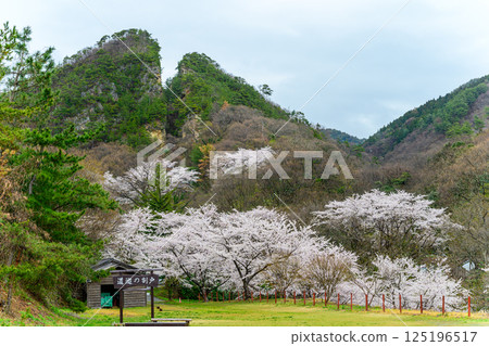 穿梭車穿梭 125196517