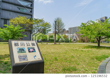 [千葉縣千葉市] 宮古川公園 125196532