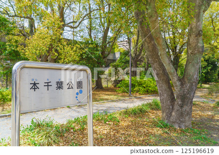 [千葉縣千葉市] 本千葉公園 125196619