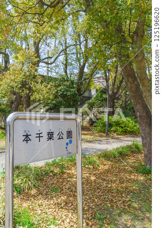 [Chiba City, Chiba Prefecture] Hon-Chiba Park 125196620