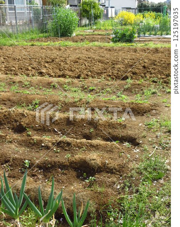 Tokyo Metropolitan Agricultural High School Honmachi Farm 125197035