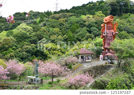 平安京的重瓣櫻花 125197287