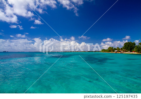 大洋洲和玻里尼西亞島國圖瓦盧的首都富納富提環礁豐法萊島的生動藍色潟湖 125197435