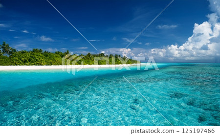 馬爾代夫美麗的大海 馬爾代夫美麗的大海 125197466