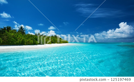 馬爾代夫美麗的大海 125197469