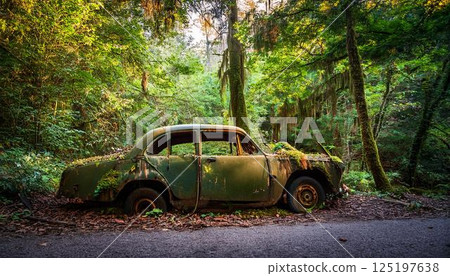 路邊被遺棄和腐爛的汽車 125197638