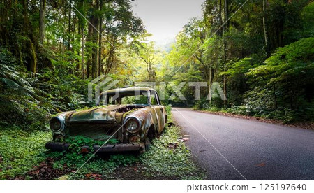 路邊被遺棄和腐爛的汽車 125197640