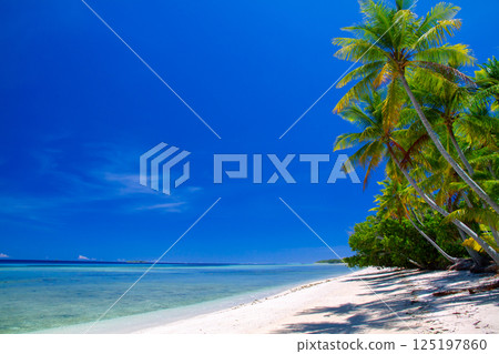 大洋洲和波利尼西亞島國圖瓦盧首都富納富提環礁豐法萊島上的潟湖、海灘和棕櫚樹 大洋洲和波利尼西亞島國圖瓦盧首都富納富提環礁豐法萊島上的潟湖、海灘和棕櫚樹 125197860