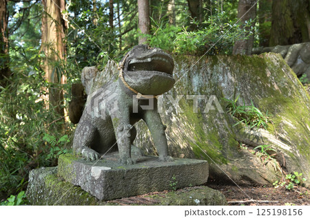 Walking around Sakamoto-shuku on the Nakasendo road: Sakamoto Hachimangu Shrine, Annaka City, Gunma Prefecture 125198156