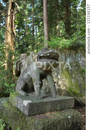 Walking around Sakamoto-shuku on the Nakasendo road: Sakamoto Hachimangu Shrine, Annaka City, Gunma Prefecture Walking around Sakamoto-shuku on the Nakasendo road: Sakamoto Hachimangu Shrine, Annaka City, Gunma Prefecture 125198157