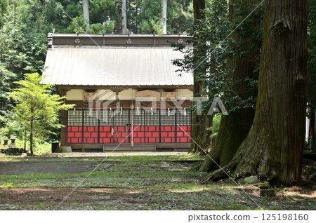 Walking around Sakamoto-shuku on the Nakasendo road: Sakamoto Hachimangu Shrine, Annaka City, Gunma Prefecture 125198160