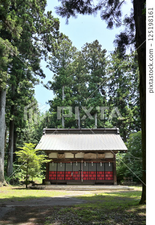 Walking around Sakamoto-shuku on the Nakasendo road: Sakamoto Hachimangu Shrine, Annaka City, Gunma Prefecture Walking around Sakamoto-shuku on the Nakasendo road: Sakamoto Hachimangu Shrine, Annaka City, Gunma Prefecture 125198161