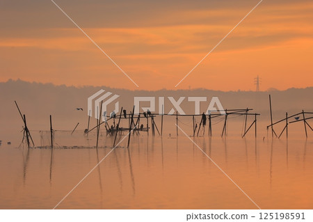 Morning on a misty swamp at sunrise Morning on a misty swamp at sunrise 125198591