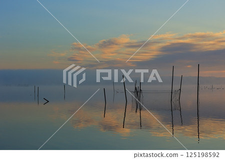 Morning on a misty swamp at sunrise 125198592