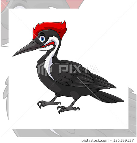Cartoon woodpecker bird on white background Cartoon woodpecker bird on white background 125199137