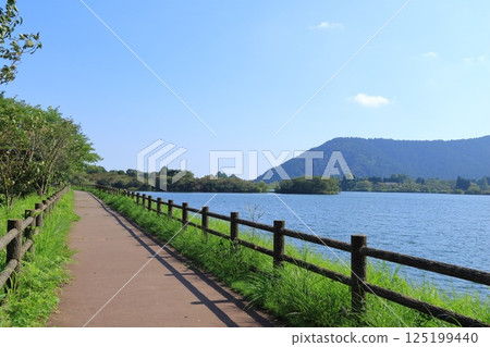 Lake Tanuki, Fujinomiya City, Shizuoka Prefecture Lake Tanuki, Fujinomiya City, Shizuoka Prefecture 125199440