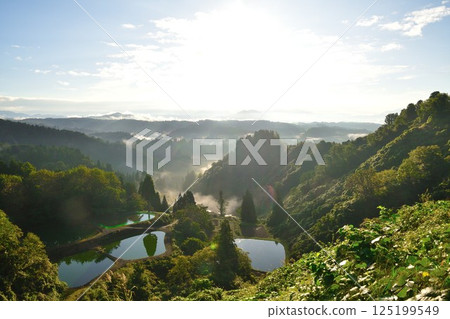 早晨的山越單杉梯田池塘(新潟縣) 早晨的山越單杉梯田池塘(新潟縣) 125199549
