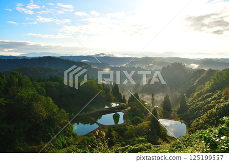 早晨的山越單杉梯田池塘(新潟縣) 早晨的山越單杉梯田池塘(新潟縣) 125199557