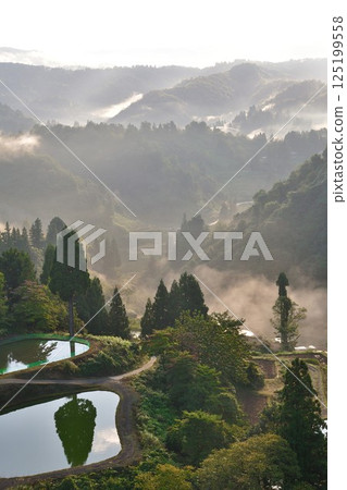 Morning rice terraces at Yamakoshi Ipponsugi (Niigata Prefecture) Morning rice terraces at Yamakoshi Ipponsugi (Niigata Prefecture) 125199558