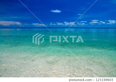 大洋洲和玻里尼西亞島國圖瓦盧的首都富納富提環礁豐法萊島的生動藍色潟湖 125199603
