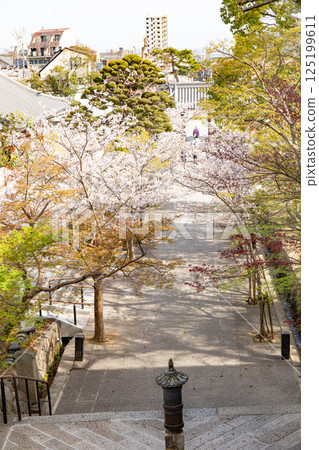 神戶須磨寺龍香橋和仁王門 神戶須磨寺龍香橋和仁王門 125199611
