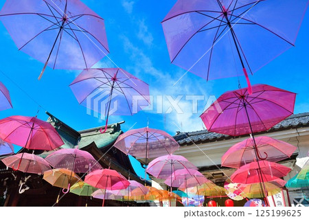 Gosen Hachimangu Shrine Umbrella Sky (Niigata Prefecture) Gosen Hachimangu Shrine Umbrella Sky (Niigata Prefecture) 125199625