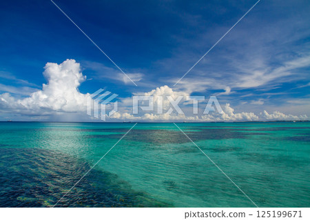 Lagoon and squall clouds on Fongafale Island in Funafuti Atoll, the capital of Tuvalu, an island nation in Oceania and Polynesia 125199671