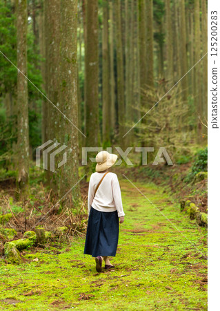 A middle-aged woman walking through a virgin forest deep in the mountains 125200283