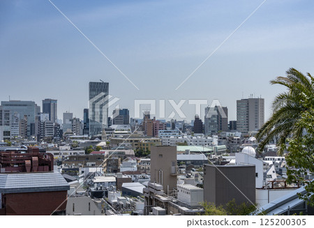 東京原宿:表參道景觀 東京原宿:表參道景觀 125200305