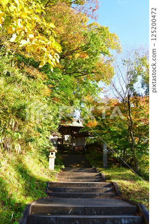 福萬國藏尊圓藏寺的秋葉（福島縣） 125200472