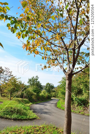 從上原高原展望台眺望（新潟縣） 125200564