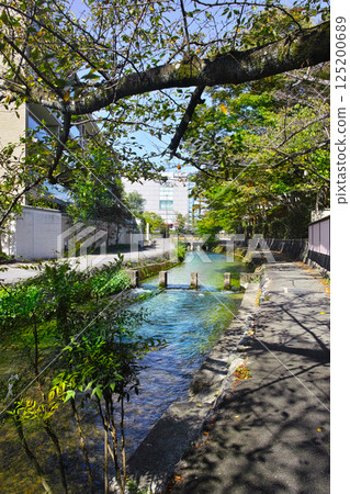 京都市東山區拆除一座橋後，白川的石柱景觀 125200689