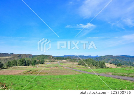 View of Uehara Highland Cosmos Garden (Niigata Prefecture) 125200756